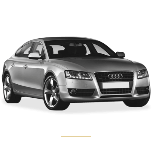 Audi A5 roof lining repair