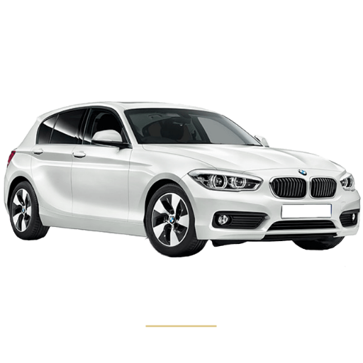 BMW series 1 roof lining repair
