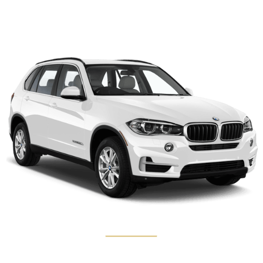 BMW x5 roof lining repair