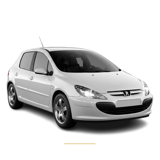 Peugeot 307 roof lining repair