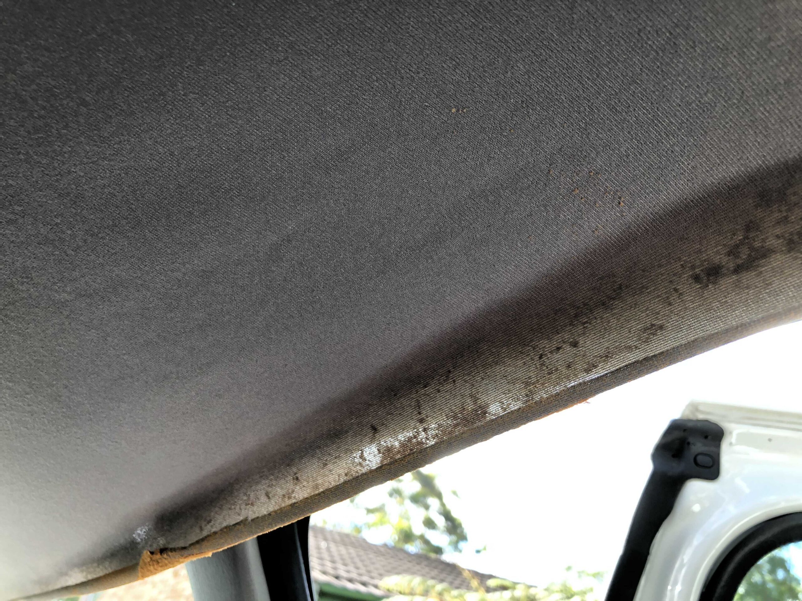 Toyota Avalon 2003 Roof Lining Repair