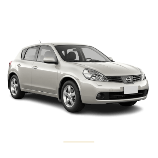 Nissan Dualis roof lining repair