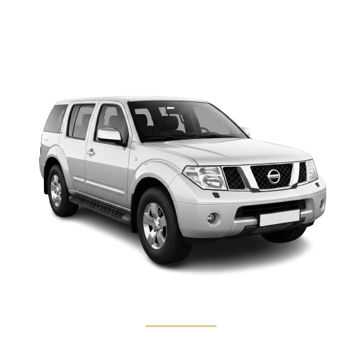 Nissan Pathfinder roof lining repair